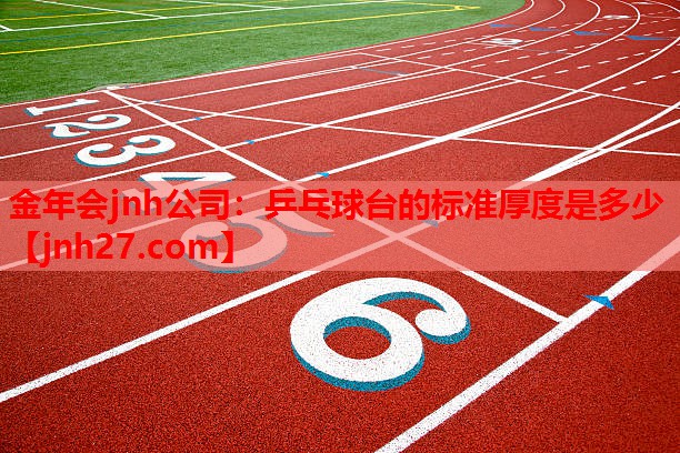 金年会jnh公司：乒乓球台的标准厚度是多少