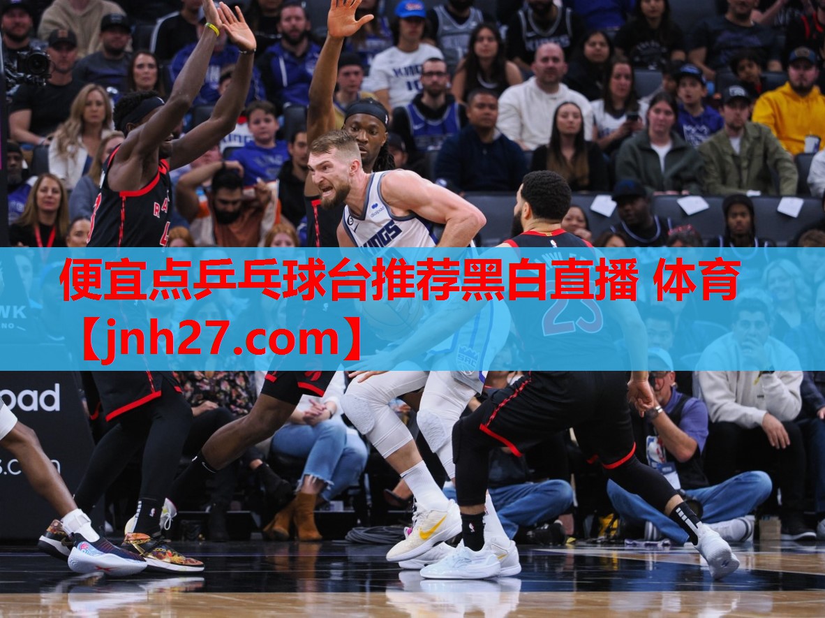 便宜点乒乓球台推荐黑白直播 体育