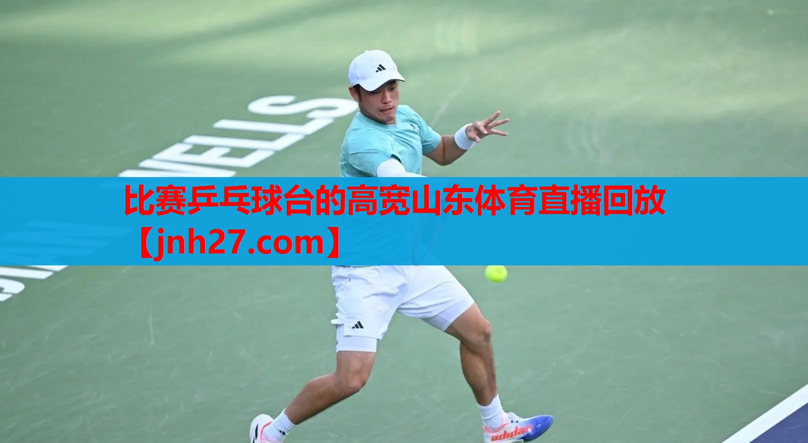 比赛乒乓球台的高宽山东体育直播回放