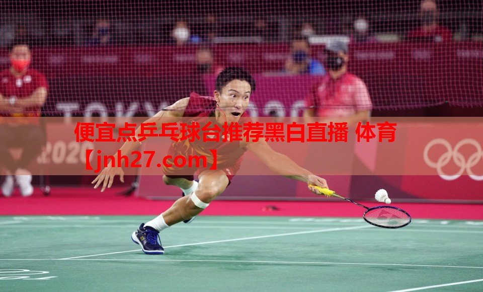 便宜点乒乓球台推荐黑白直播 体育