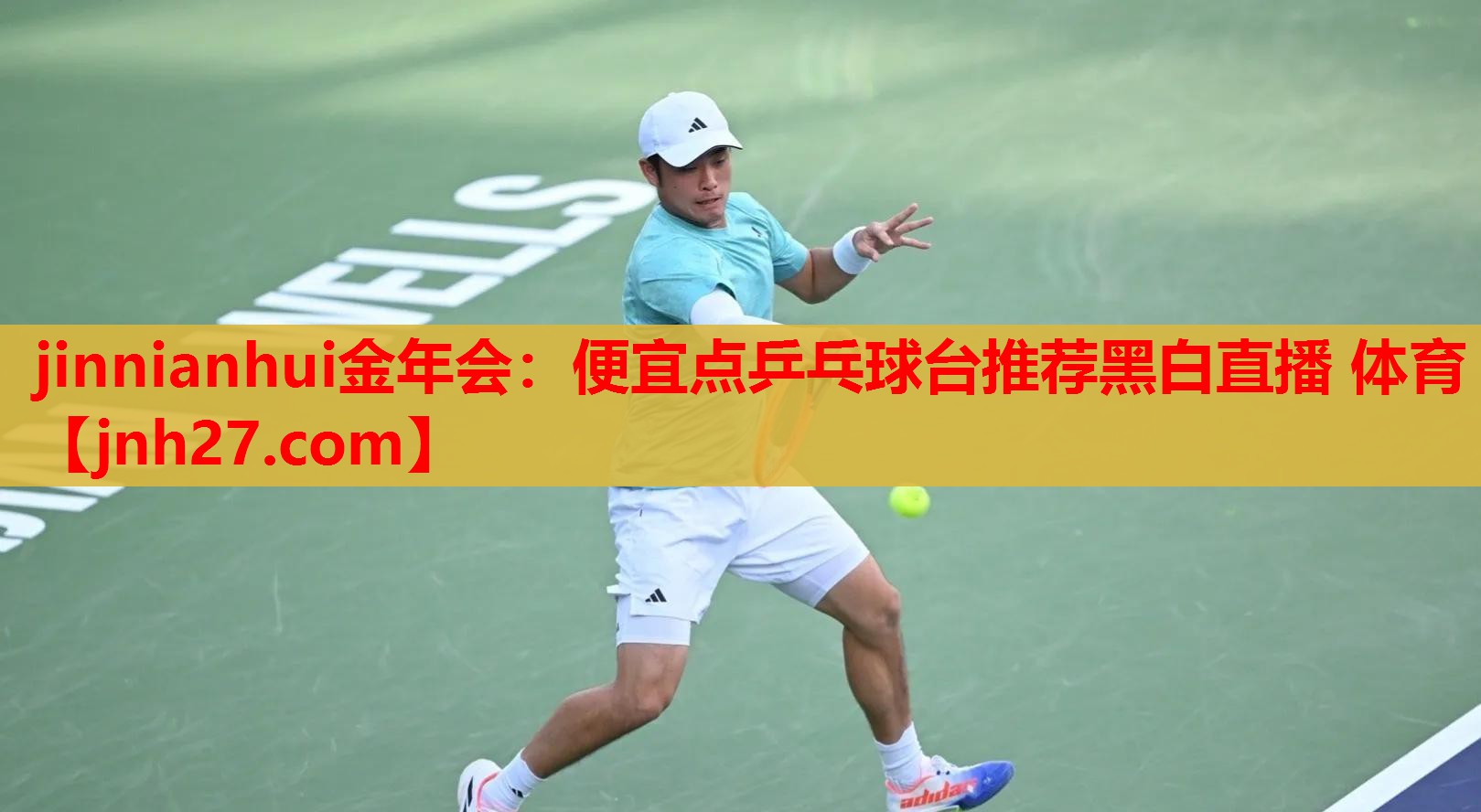 jinnianhui金年会：便宜点乒乓球台推荐黑白直播 体育