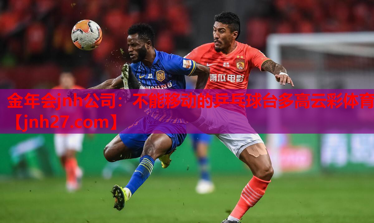金年会jnh公司：不能移动的乒乓球台多高云彩体育
