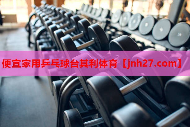 便宜家用乒乓球台其利体育