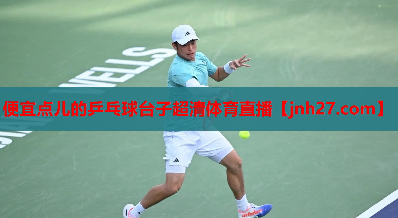 便宜点儿的乒乓球台子超清体育直播