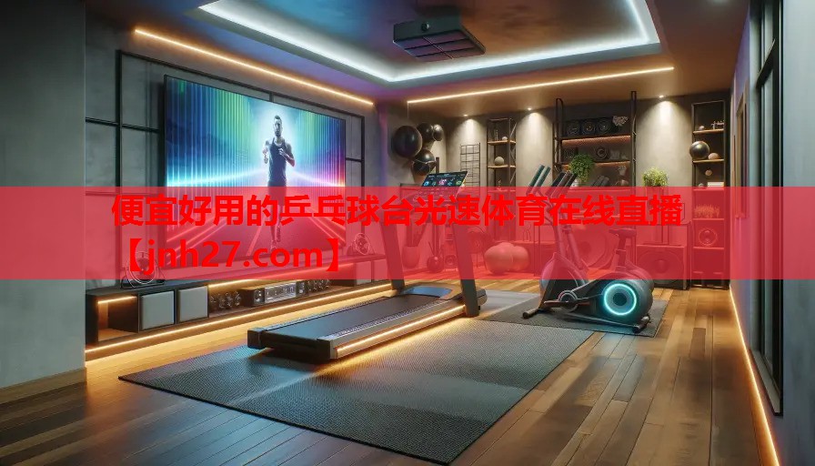 便宜好用的乒乓球台光速体育在线直播