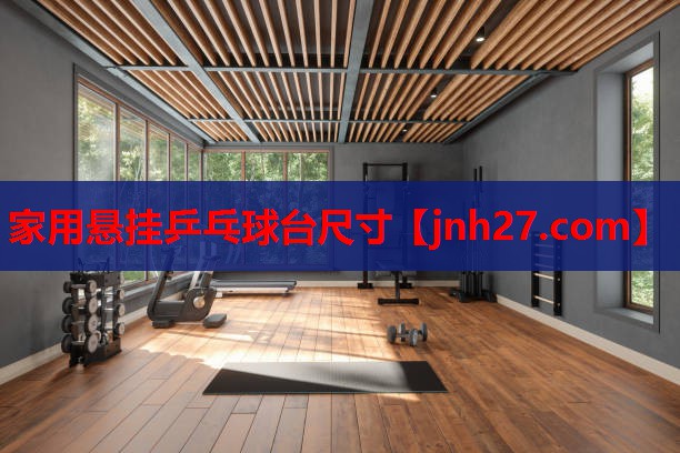 家用悬挂乒乓球台尺寸